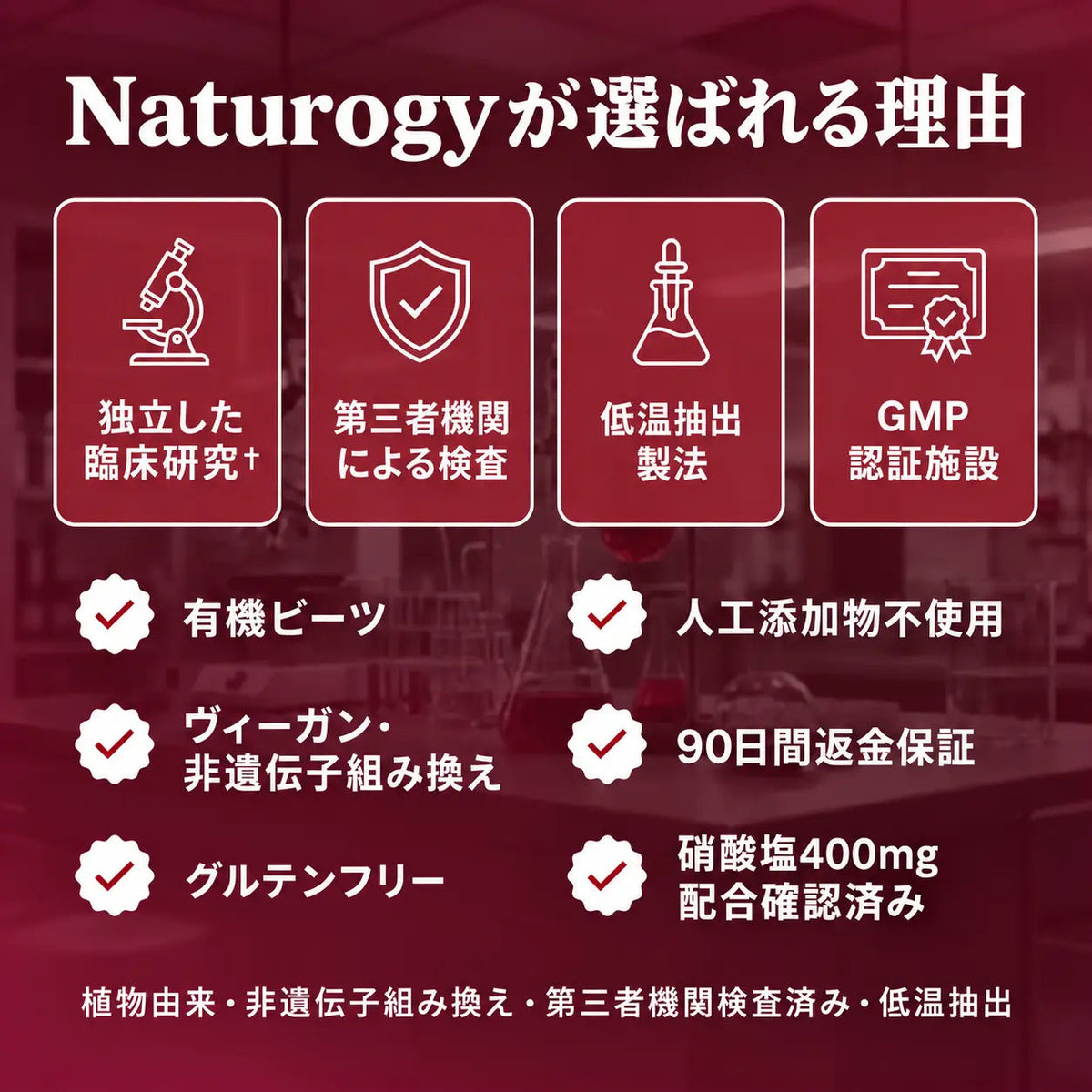 Naturogy ビーツフロー 商品画像 3