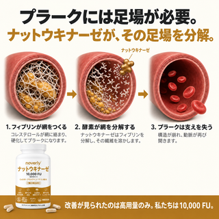 ナットウキナーゼ 10,000 FU（臨床用高濃度）