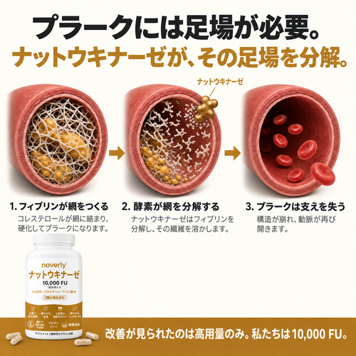 ナットウキナーゼ 10,000 FU（臨床用高濃度）
