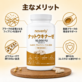 ナットウキナーゼ 10,000 FU（臨床用高濃度）