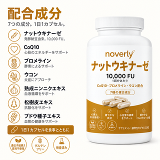 ナットウキナーゼ 10,000 FU（臨床用高濃度）