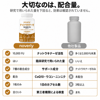 ナットウキナーゼ 10,000 FU（臨床用高濃度）